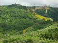 Volterra - Le Balze a primavera - by N.Gronchi e R.Caldon