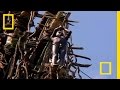 Land Diving