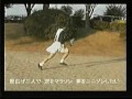Card Captor Sakura Cosplay Opening Card Captor Sakura Cosplay Opening