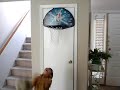 2 and half year old boy at 4 feet!!