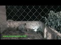 Amoniaco mas aluminio (nightshot™)