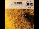 Audible - Forever (Original Mix) Audible - Forever (Original Mix)