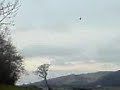 Pritch falling off bike