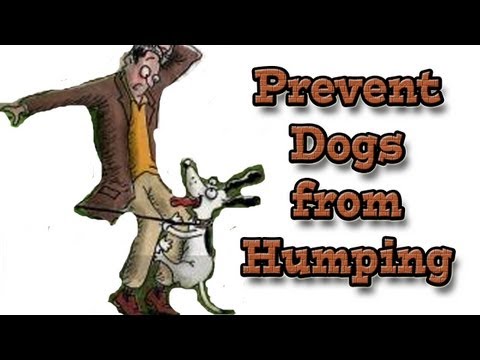 humping