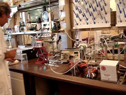 how to isolate microsomes