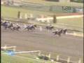 kurofune−japan cup dirt