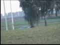 videos de Zor de Parayas  -  Faro Mundial FCI 2008 - 98 PONTOS