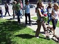 Daschund Parade