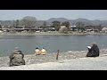 Kyoto Arashiyama Inari ?? ?? ???? ?