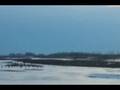 videos de Spring Migration - '08