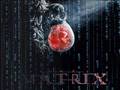 Euniverso - Matrix para refletir