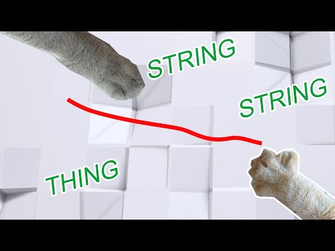 Friendly String-String Thing Game for Cats
