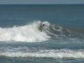 GROMS 'n' NIC