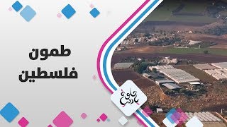 طمون - فلسطين - حلوة يا دنيا طمون - فلسطين - حلوة يا دنيا