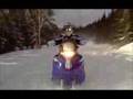 2008 Snow Hawk 800 HO