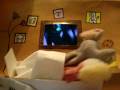 videos de Din själ.wmv