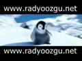 Rizeli Penguen