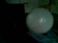 ajiq tkt belon