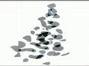 musique iannis xenakis (new london chamber choir dirig� par james wood); peintures angela biancofiore. production euromedia ; montpellier 2008
montage matiah eckhard.