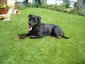 R.I.P.  Alita Ruhe in Frieden!