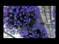 Click here to watch this video 2003年 - 2010年 パルシェ.wmv