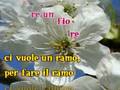 Karaoke - Ci vuole un fiore - Sergio Endrigo