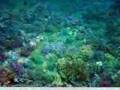 Krabi - Your Dream Holiday