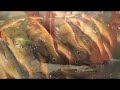 Amazon fish market, from PRI\