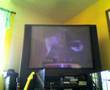 reptilia rockband