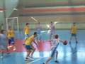 Basket - CSA