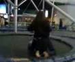peLeea en pLaZa mayOoR