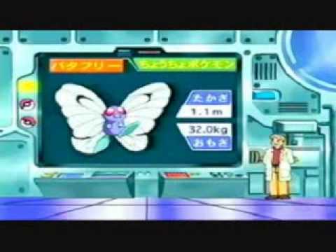butterfree