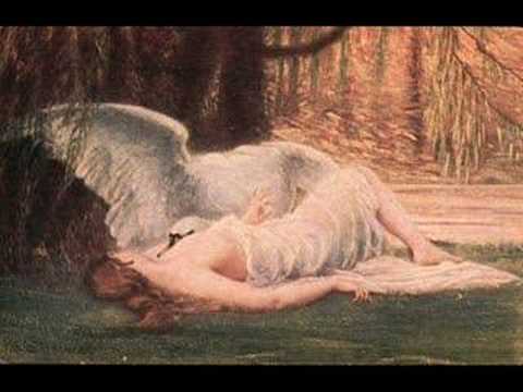 Imagen de previsualización de YouTube