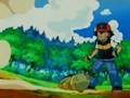 Chimchar vs turtwig
