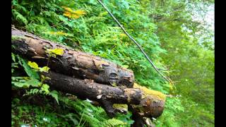 Чудеса Создателя 5-Соло поход На Говерлу и не тольк (часть 2-фото,панорамы Андрей Казаков) лето 2013