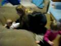 1548 Deflate Airmattress.AVI