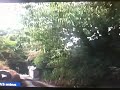 The Snail - The Future