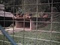 muito 10