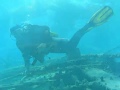 Wreck Diving Egipt Hurghada - Balena, El Mina, Sussana