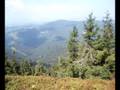 Oščadnica Veľká Rača - vrcholová panoráma