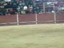 corte vieri
