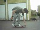 Just some tricks, Fleppo