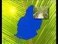 Mauritius (Part 5 of 7)