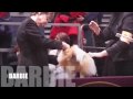 Pomeranians Westminster 2006