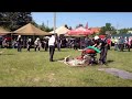 Dhz vysoká pri morave - foto 1