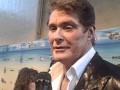 Roast of David Hasselhoff