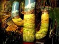 Noche de los Museos 2007 - MAPJH (I)