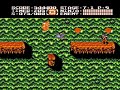 [nes] ninja gaiden 2 : the dark sword of chaos developer : tecmo publisher : tecmo platform : nintendo entertainment system designer : shuichi sakurazaki release date : 1990 genre : action, platform mode : single-player more : lix.in