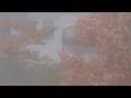 Foggy in Chippewa