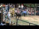 santo domingo petapa oaxaca jaripeo 2008